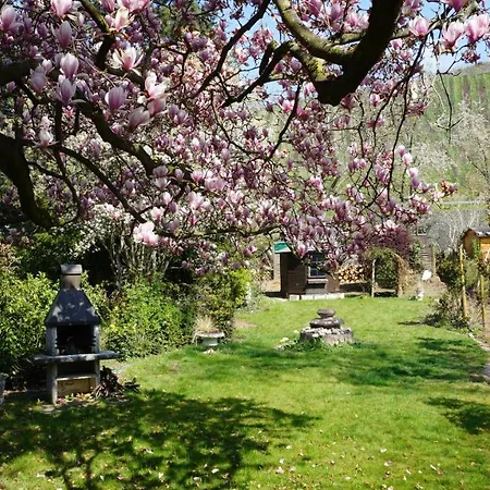 Holiday home Magnoliahr *