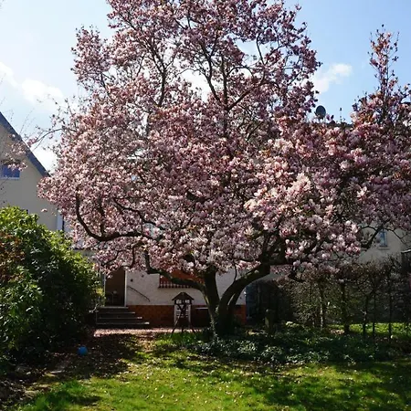 Holiday home Magnoliahr Bad Neuenahr-Ahrweiler