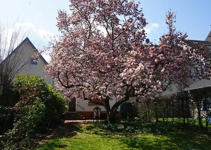 Casa de Férias Magnoliahr Bad Neuenahr-Ahrweiler